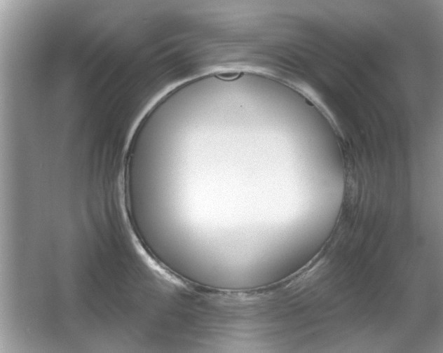 X0000067911100200604131102
