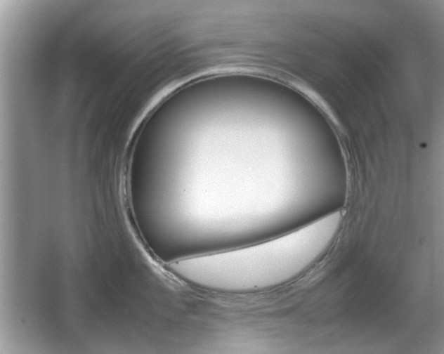 X0000067911101200604131102