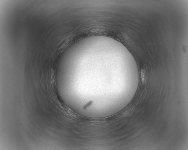 X0000067911107200604131101