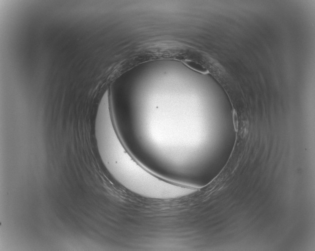 X0000067911108200604131101