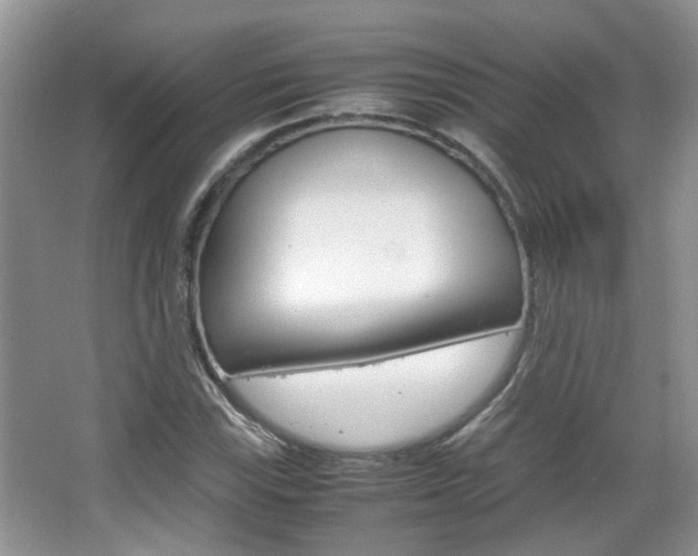 X0000067911115200604131101