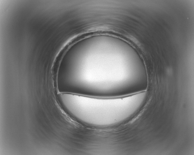 X0000067911118200604131101