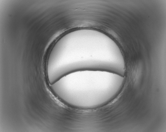 X0000067911122200604131101