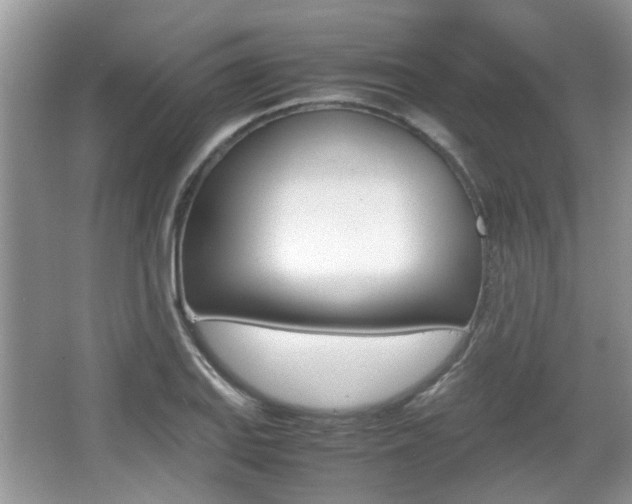 X0000067911127200604131102