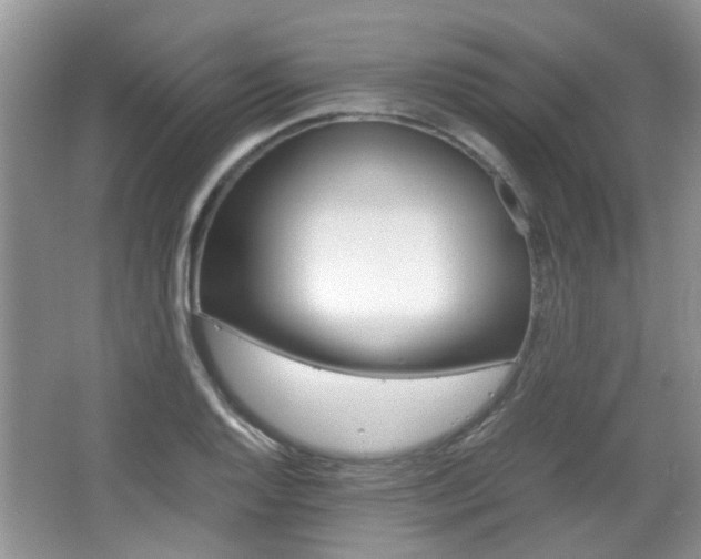 X0000067911128200604131102