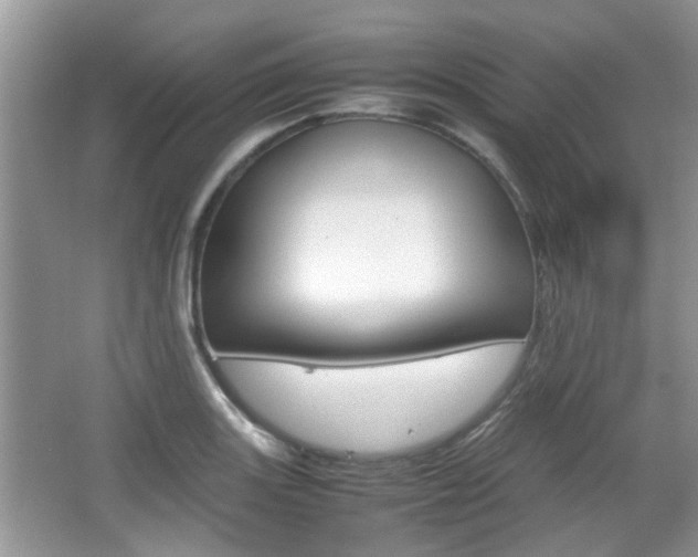 X0000067911131200604131102