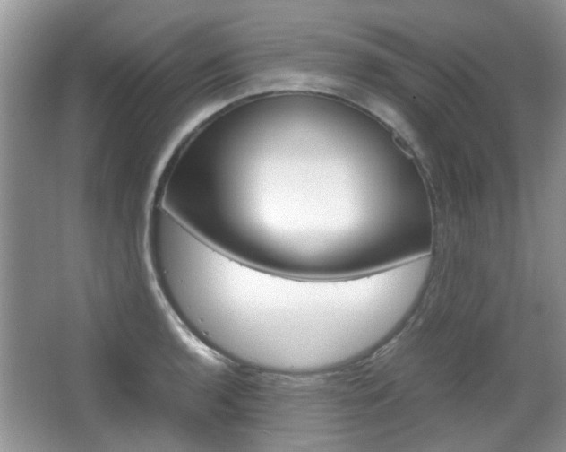 X0000067911136200604131102