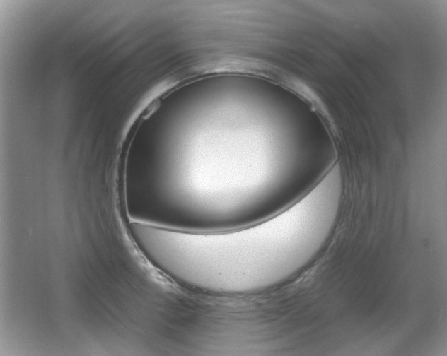 X0000067911138200604131102