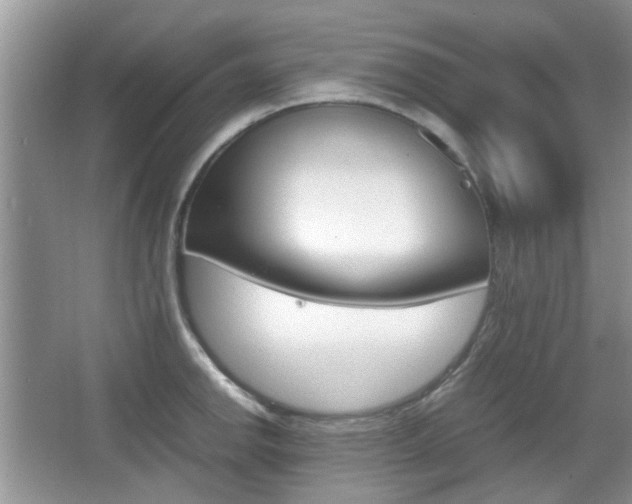 X0000067911142200604131102