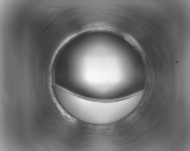 X0000067911144200604131102