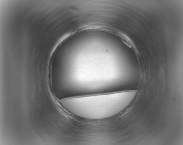 X0000067911146200604131102