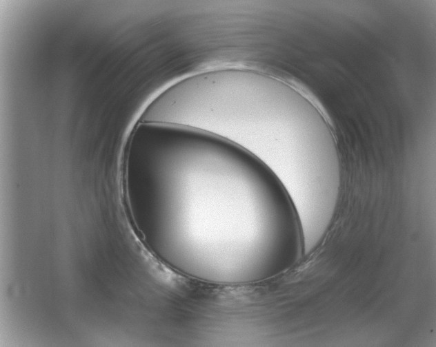 X0000067911148200604131102