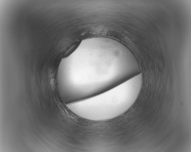 X0000067911154200604131101
