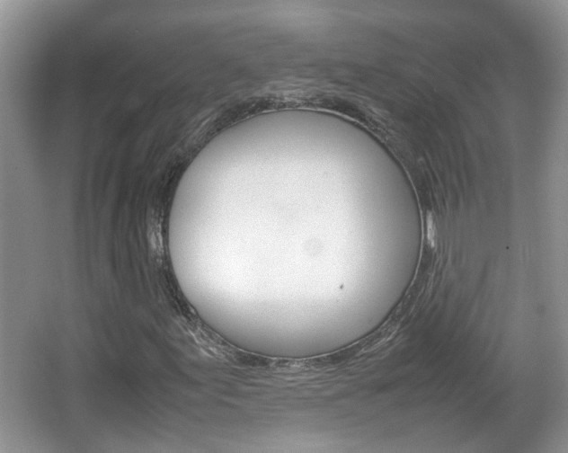 X0000067911155200604131101