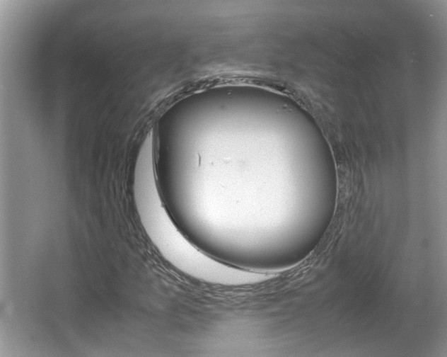 X0000067911157200604131101