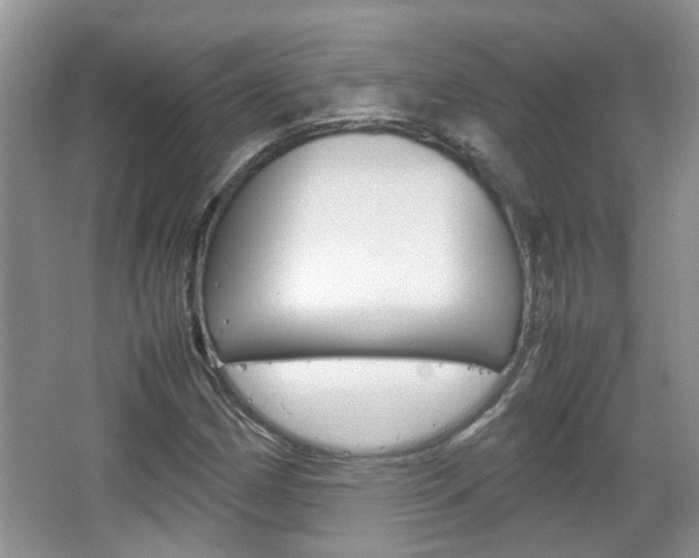 X0000067911162200604131101