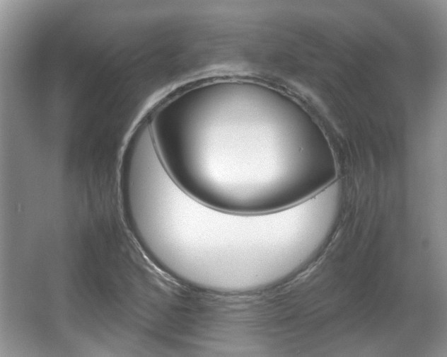 X0000067911168200604131101