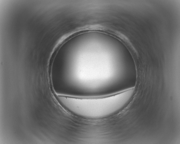 X0000067911176200604131101