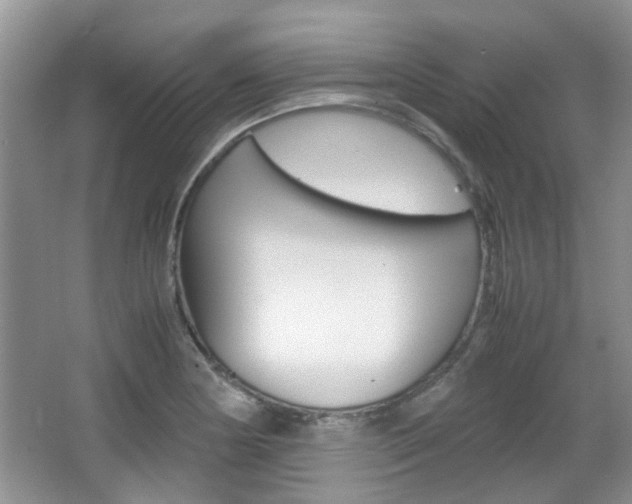 X0000067911178200604131101