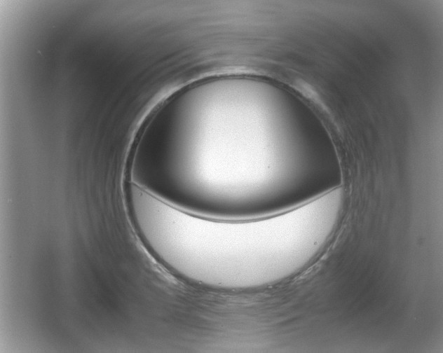 X0000067911181200604131101