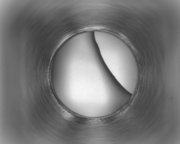 X0000067911186200604131101