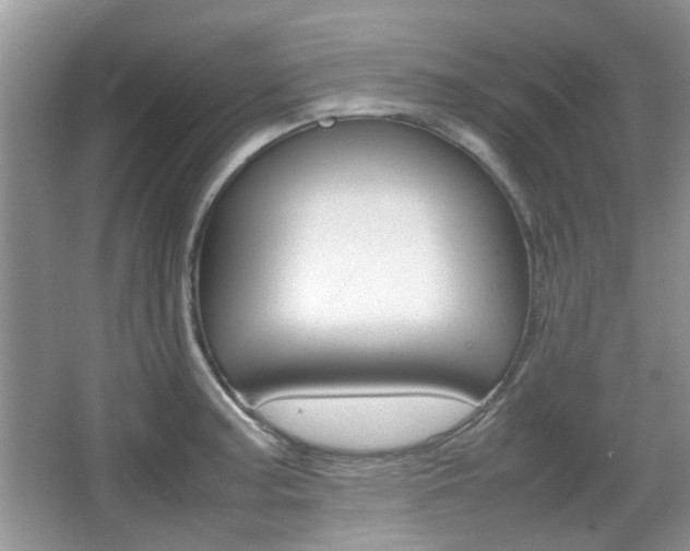 X0000067911187200604131101