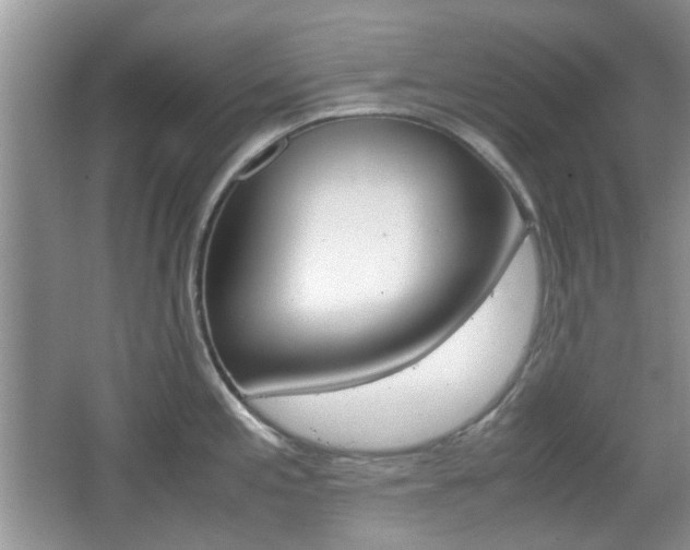X0000067911197200604131100