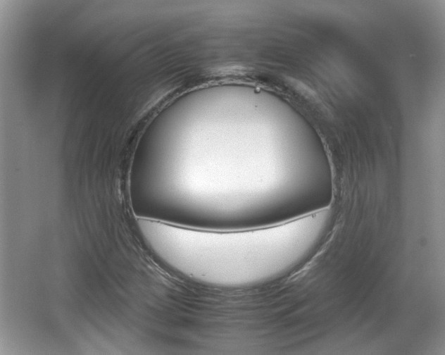 X0000067911209200604131100