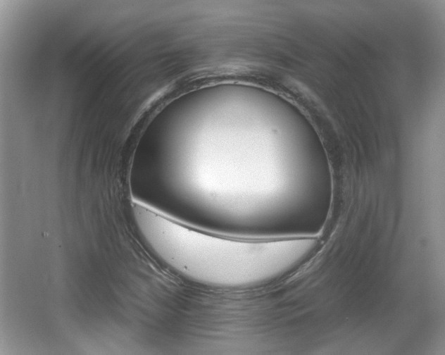 X0000067911210200604131100