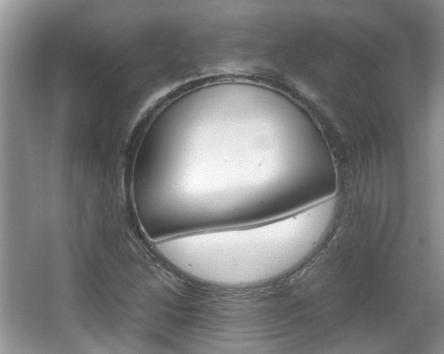 X0000067911214200604131100