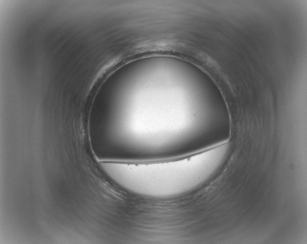 X0000067911218200604131100