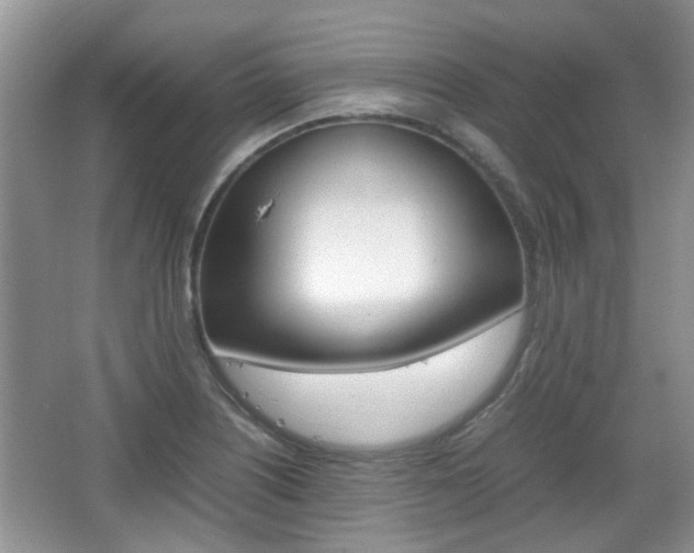 X0000067911226200604131100
