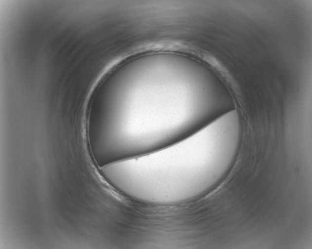 X0000067911232200604131100