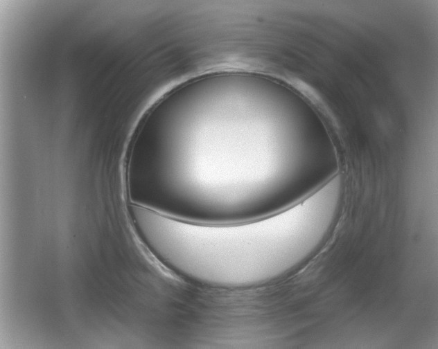 X0000067911238200604131100