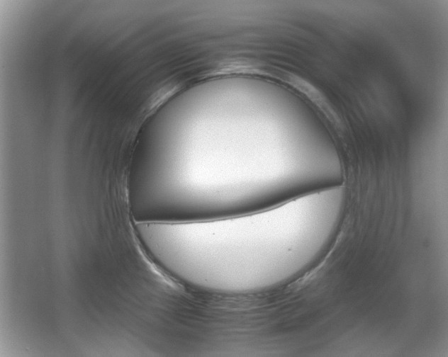 X0000067911241200604131100