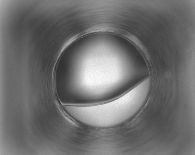 X0000067911242200604131100