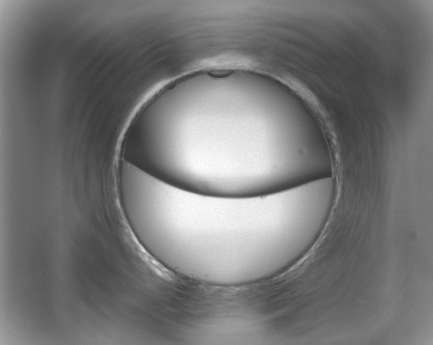 X0000067911248200604131100