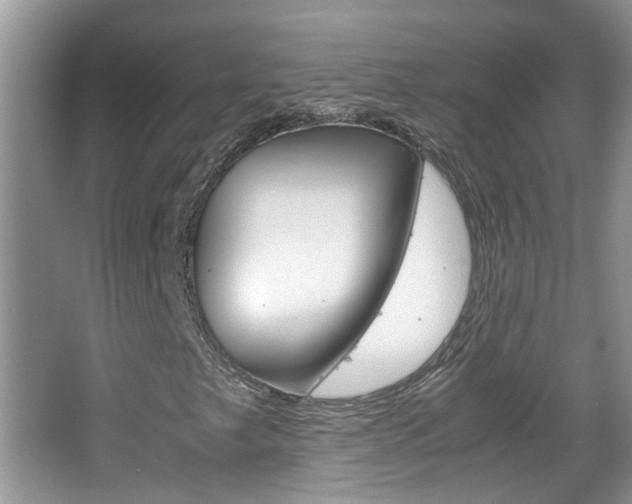 X0000067911249200604131100