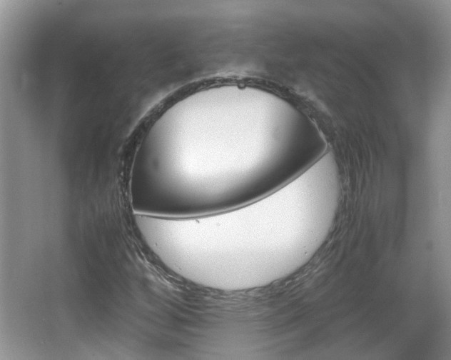 X0000067911256200604131059