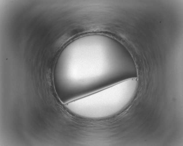 X0000067911265200604131059