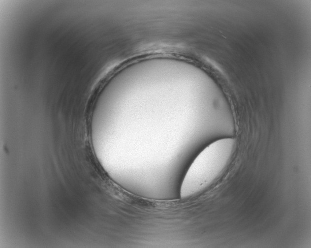 X0000067911267200604131059