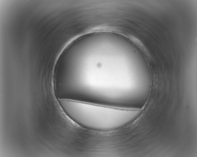 X0000067911288200604131059