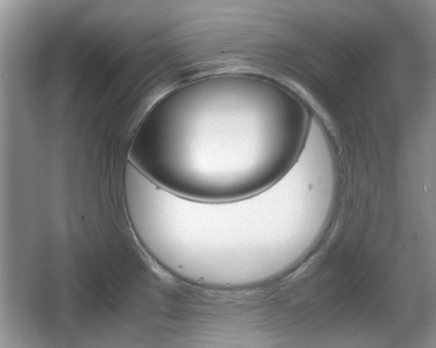 X0000067911289200604131059