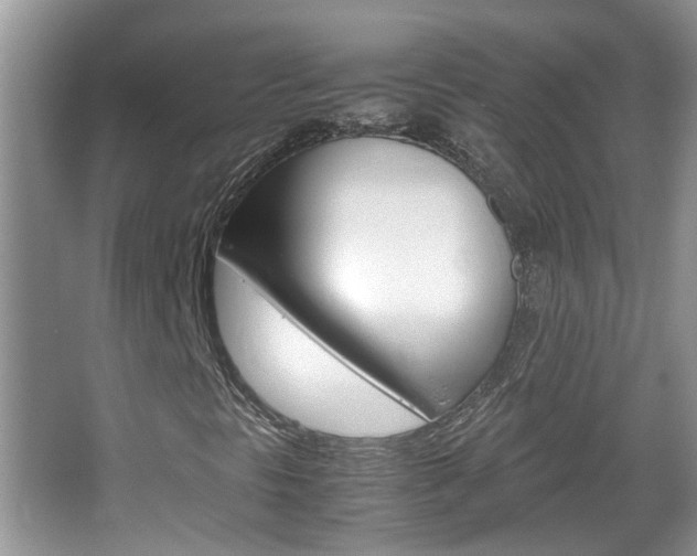 X0000067911297200604131058