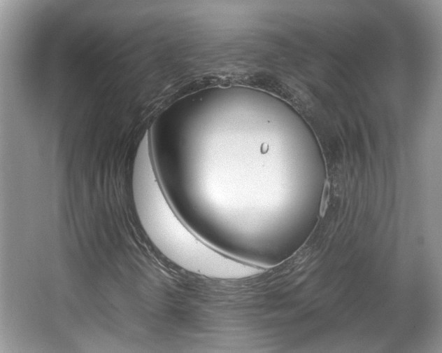 X0000067911298200604131058