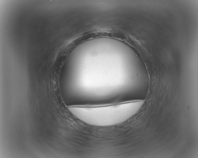 X0000067911303200604131058