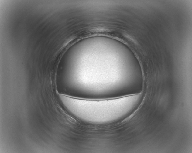 X0000067911305200604131058