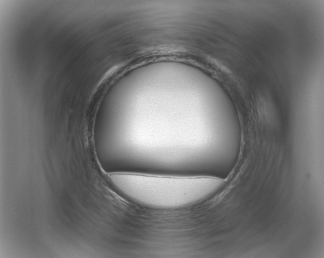 X0000067911306200604131058