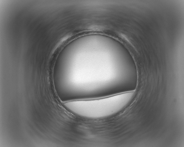 X0000067911307200604131058