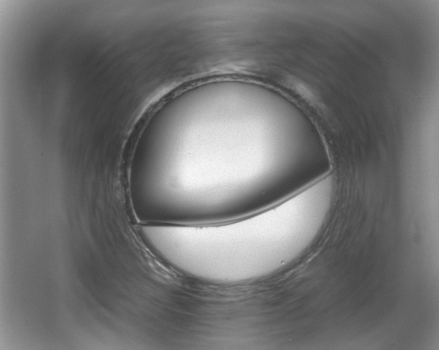 X0000067911308200604131058